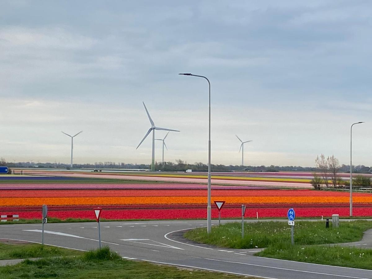 Zijperweg Vakantiehuis Vlakbij Zee, Strand En Bos Petten Luaran gambar