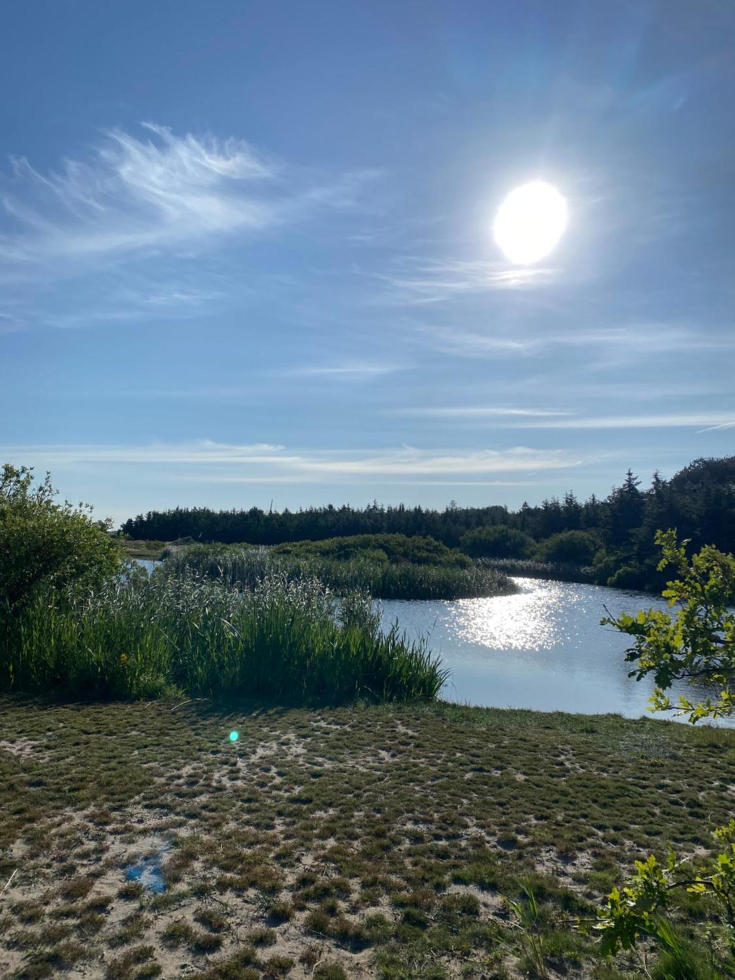Zijperweg Vakantiehuis Vlakbij Zee, Strand En Bos Petten Luaran gambar